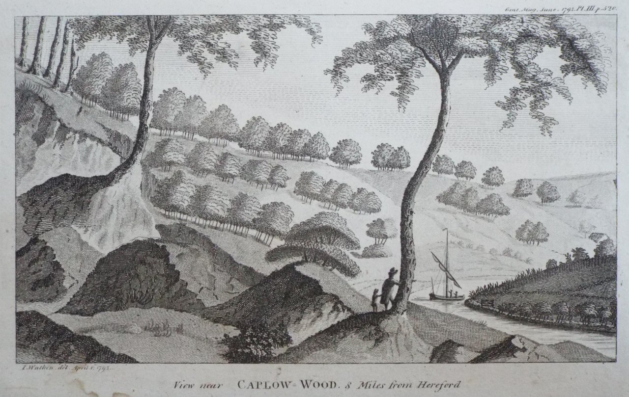 Print - View near Caplow Wood, 8 Miles from Hereford